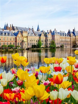 荷蘭留學|為什么選擇荷蘭留學？所有你關心的問題，在這兒都能找到答案！