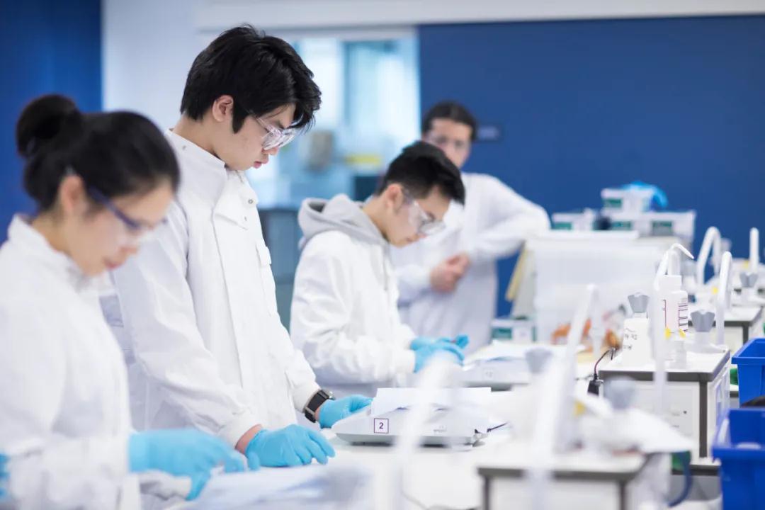 國內(nèi)研考失利，國外讀碩或者碩預(yù)來補位！